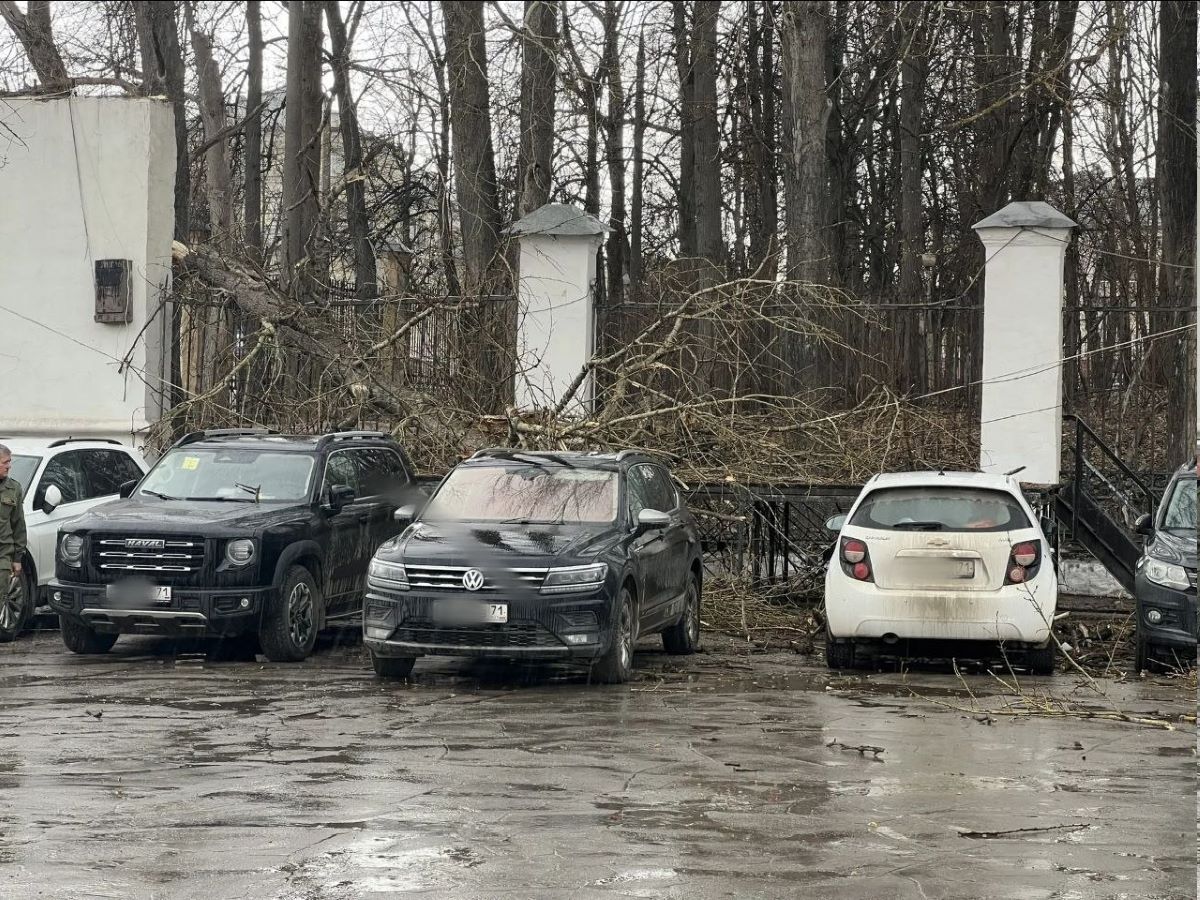 Штормовой ветер не прошел бесследно в Туле Штормовой ветер не прошел бесследно в Туле