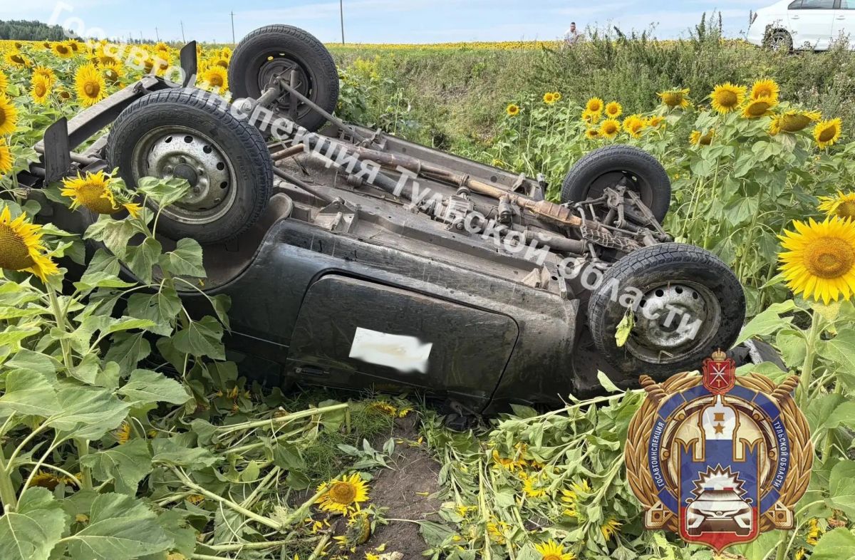 В Плавском округе произошло ДТП с перевертышем: есть пострадавший В Плавском округе произошло ДТП с перевертышем: есть пострадавший