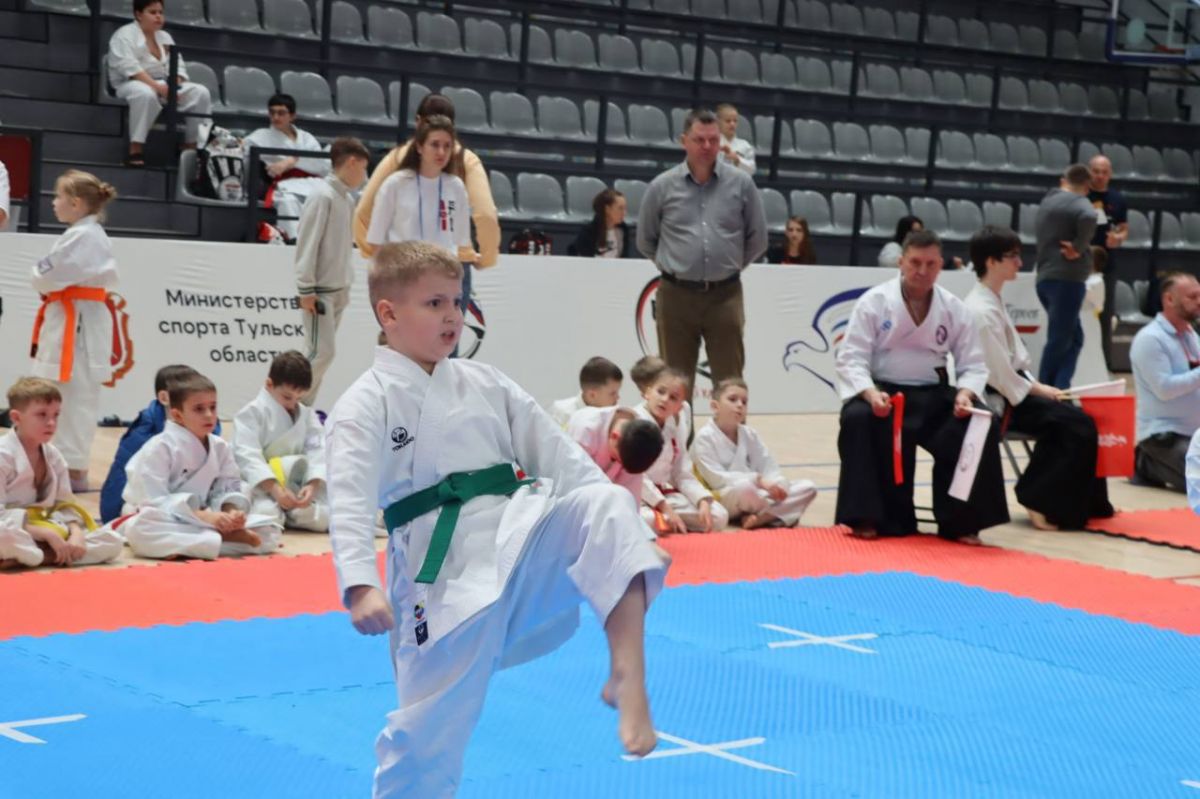 В Туле каратисты всех возрастов борются за медали чемпионата и первенства России