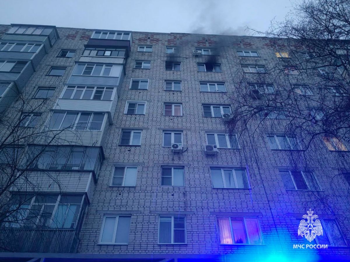 В Ефремове из горящей квартиры спасли человека и кошку