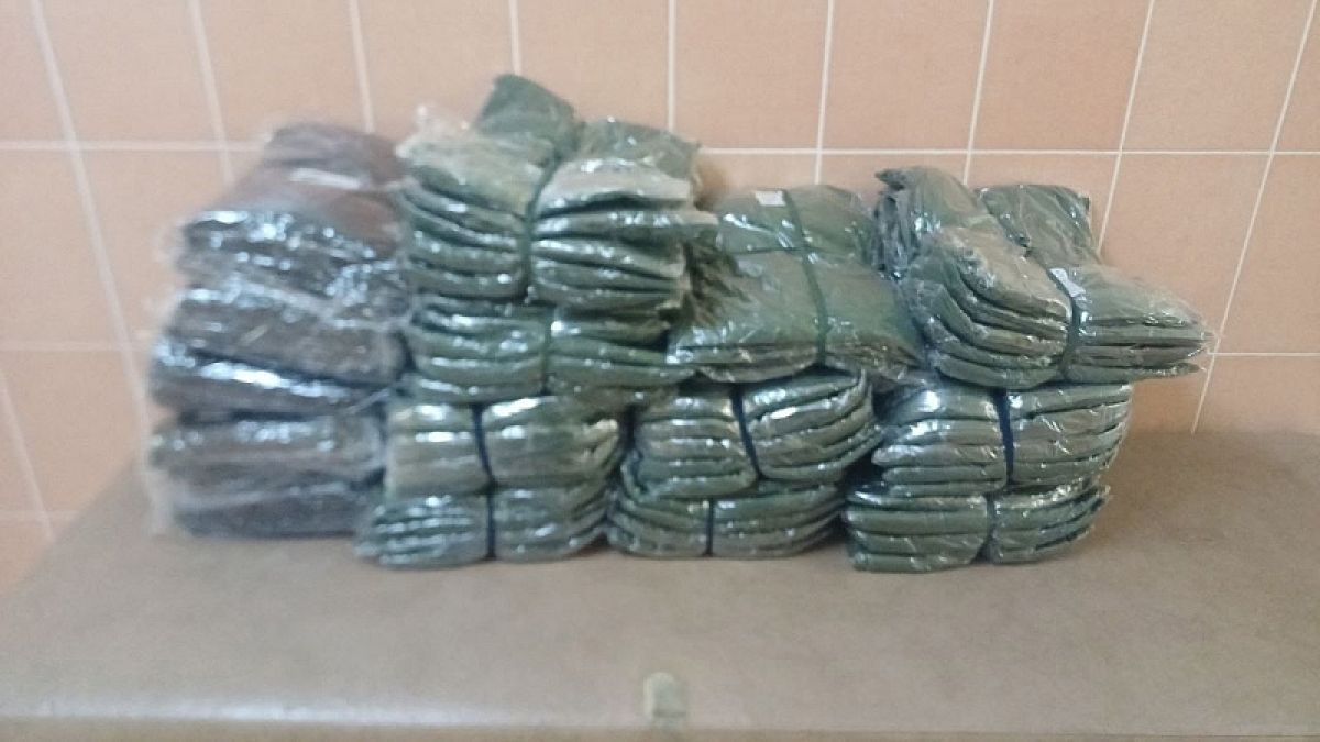 Дмитрий Коженкин: «Поддержка наших бойцов на передовой или в тылу стала неотъемлемой частью жизни»