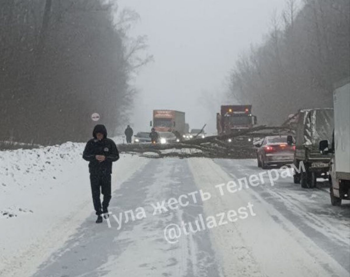В Тульской области шквалистый ветер повалил дерево, которое перегородило дорогу В Тульской области шквалистый ветер повалил дерево, которое перегородило дорогу