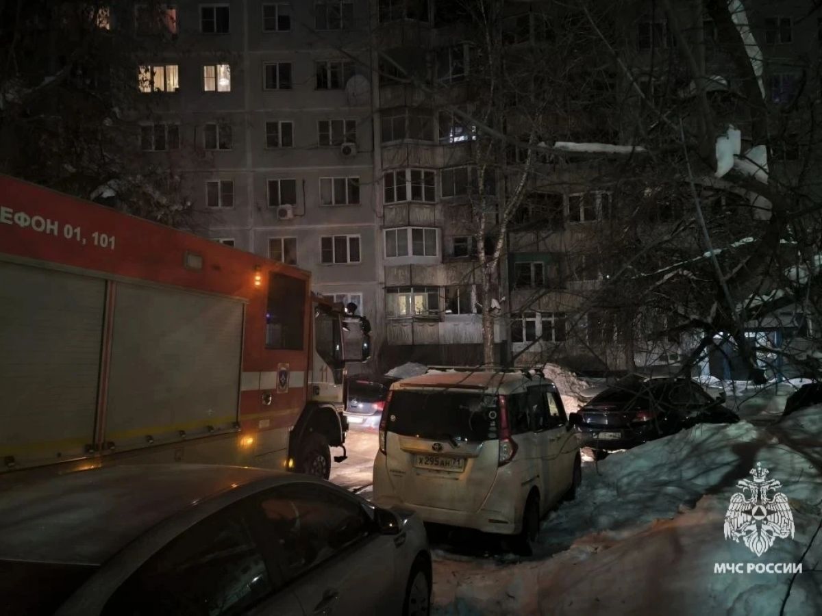 В Туле в горящей квартире погибли женщина и ребенок