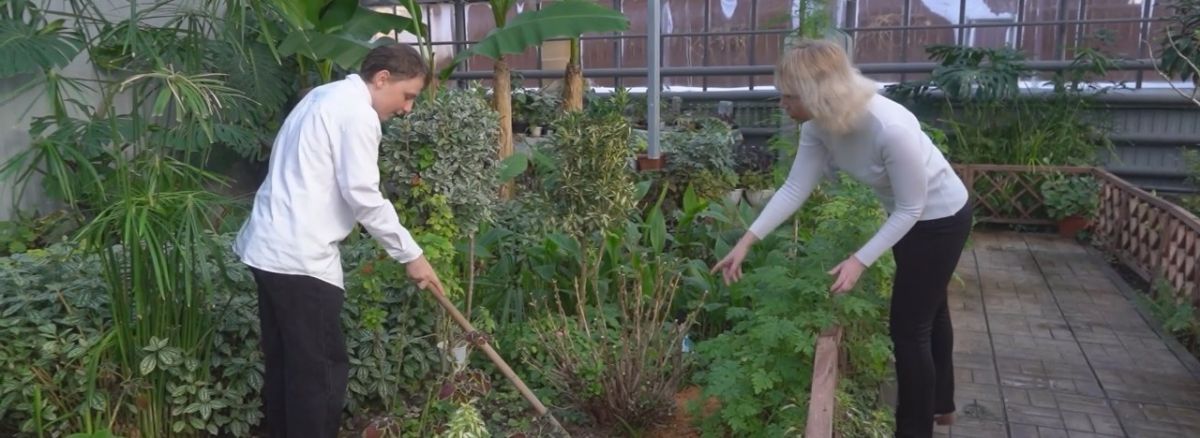 В тульской школьной оранжерее выращивают кофейное дерево и древнеегипетский ципирус