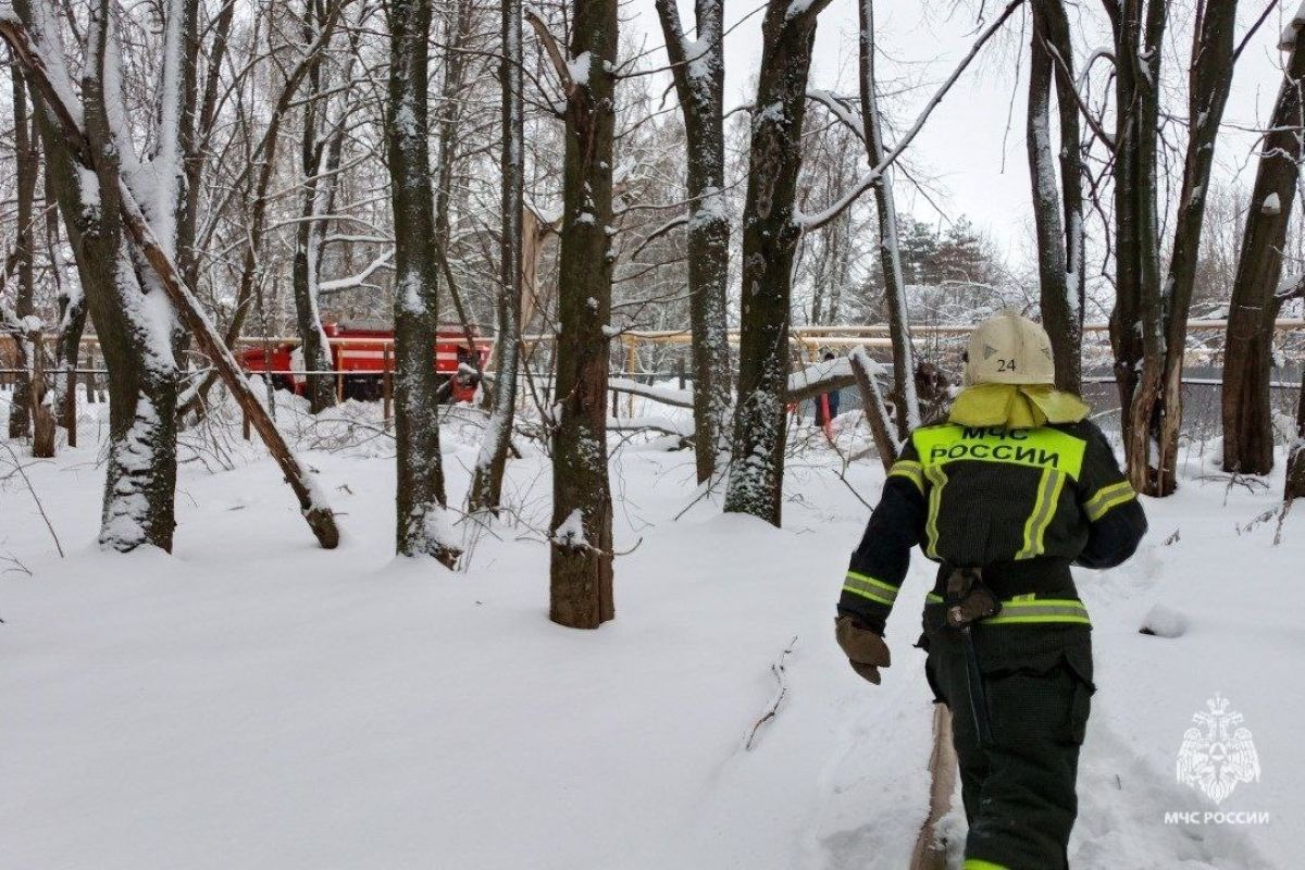 Пожары в Тульской области накануне обошлись без жертв