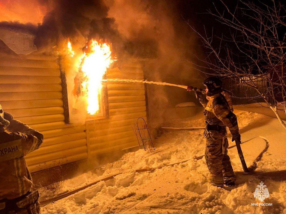 В Тульской области горели дом и дача