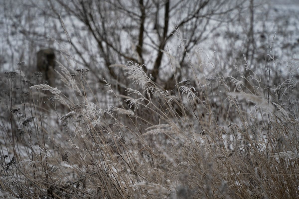 Тульским родителям рассказали, какие зимние виды спорта подходят для маленьких детей