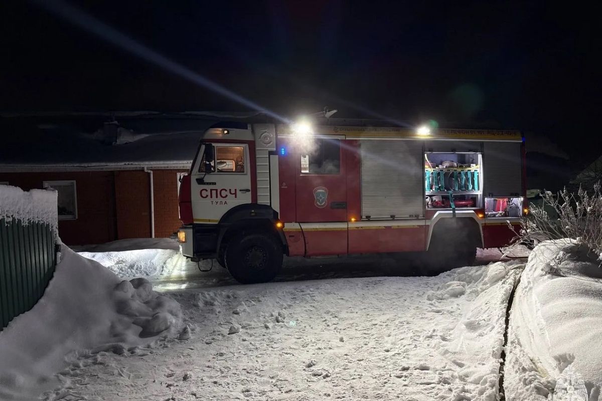 В многочисленных пожарах на территории Тульской области никто не пострадал