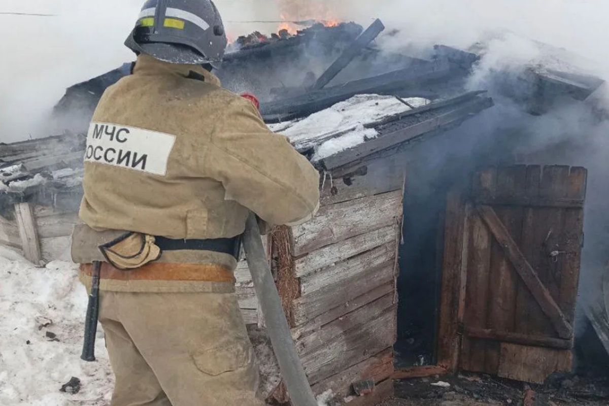 В Тульской области горел частный дом