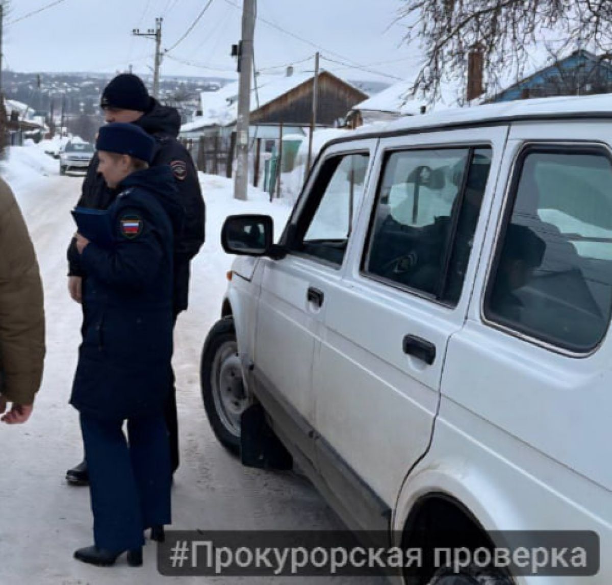 Прокуратурой Плавского района проводит проверку после жалоб на стаи бездомных собак Прокуратурой Плавского района проводит проверку после жалоб на стаи бездомных собак