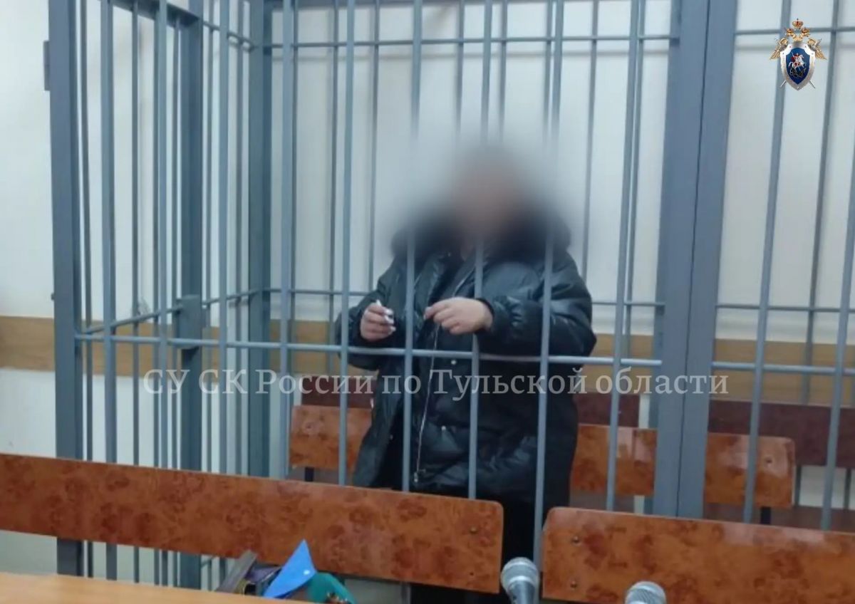 В Туле шесть женщин обвиняются в хищении материнского капитала на 3 млн рублей