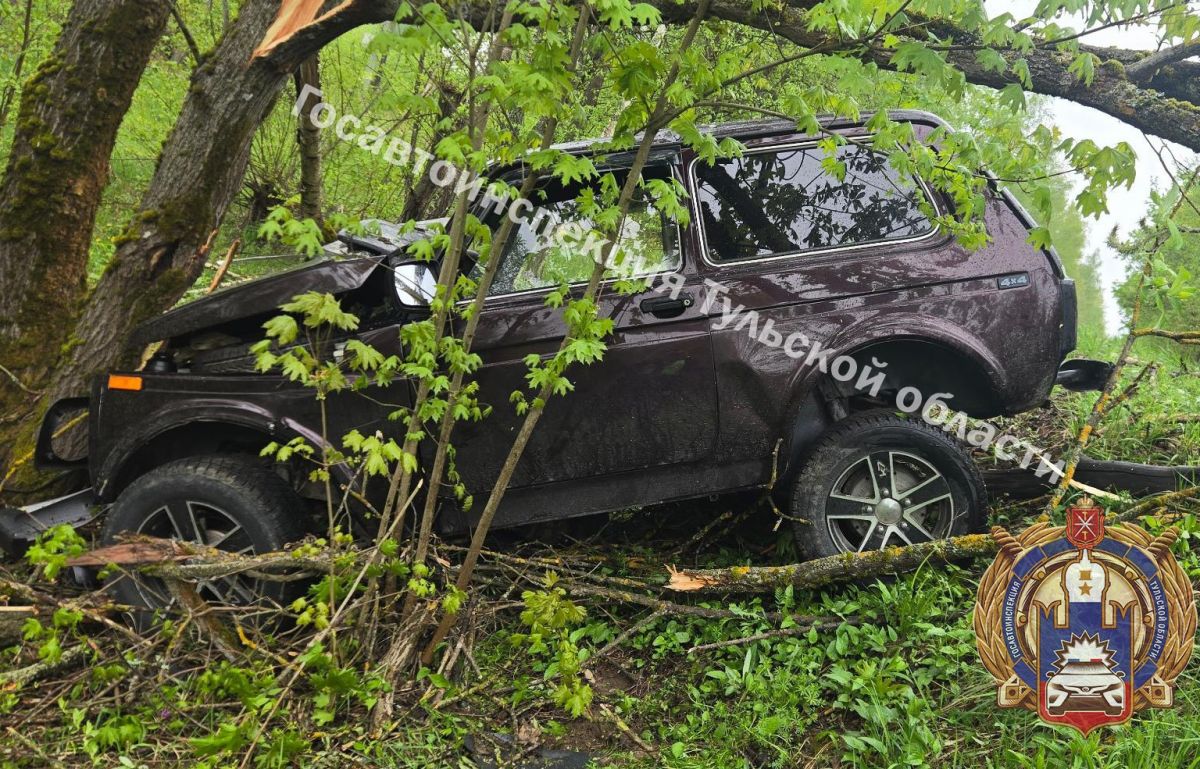В Тульской области из-за нетрезвого водителя пострадала девушка