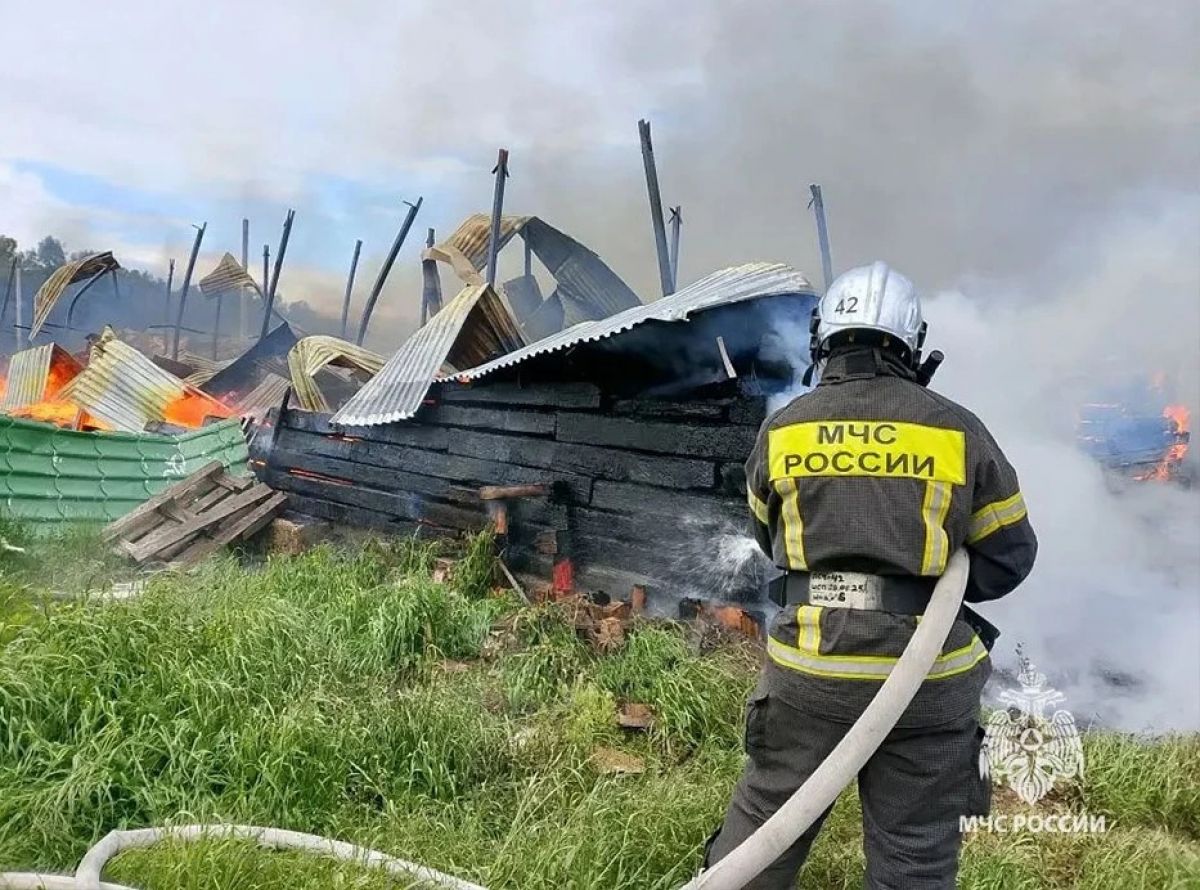 В Тульской области горели квартира и дача В Тульской области горели квартира и дача