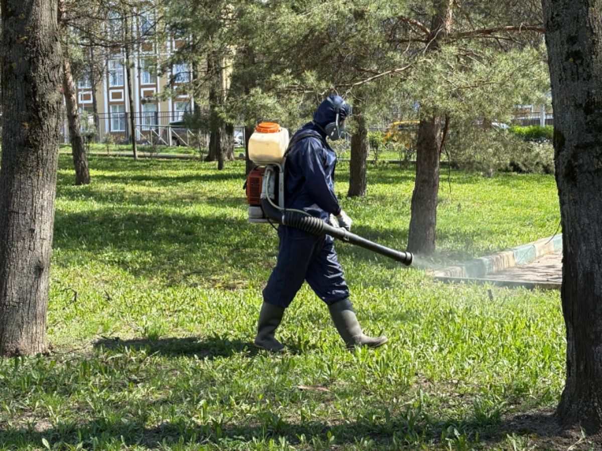 В Туле от клещей обработали еще один сквер