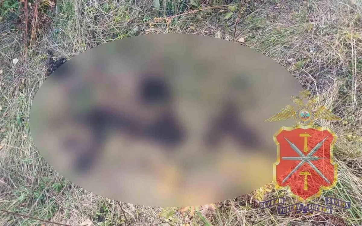 В Тульской области двое мужчин признались в краже телят и еще 15 хищениях скота В Тульской области двое мужчин признались в краже телят и еще 15 хищениях скота