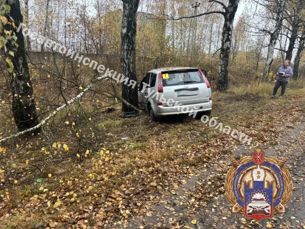В Тульской области женщина за рулем Ford C-Max врезалась в дерево В Тульской области женщина за рулем Ford C-Max врезалась в дерево