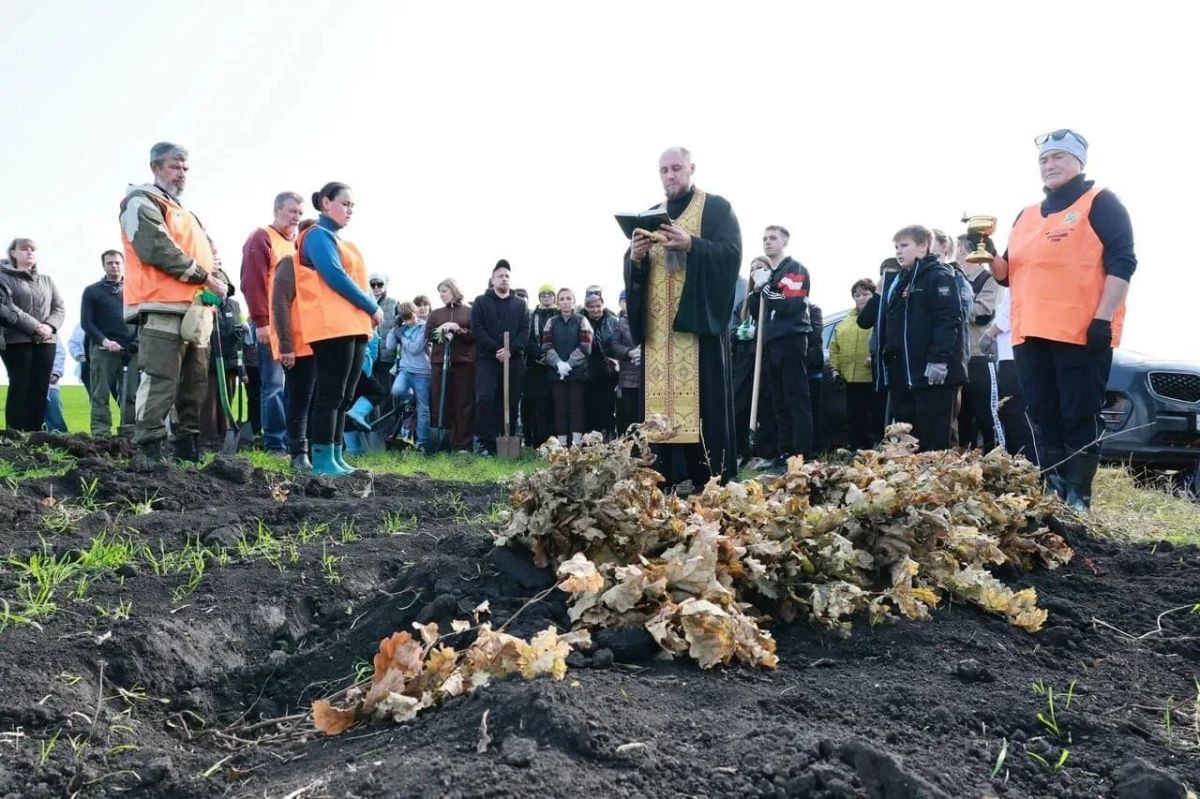 На Куликовом поле в Тульской области высадили 5,5 тысячи молодых дубов На Куликовом поле в Тульской области высадили 5,5 тысячи молодых дубов