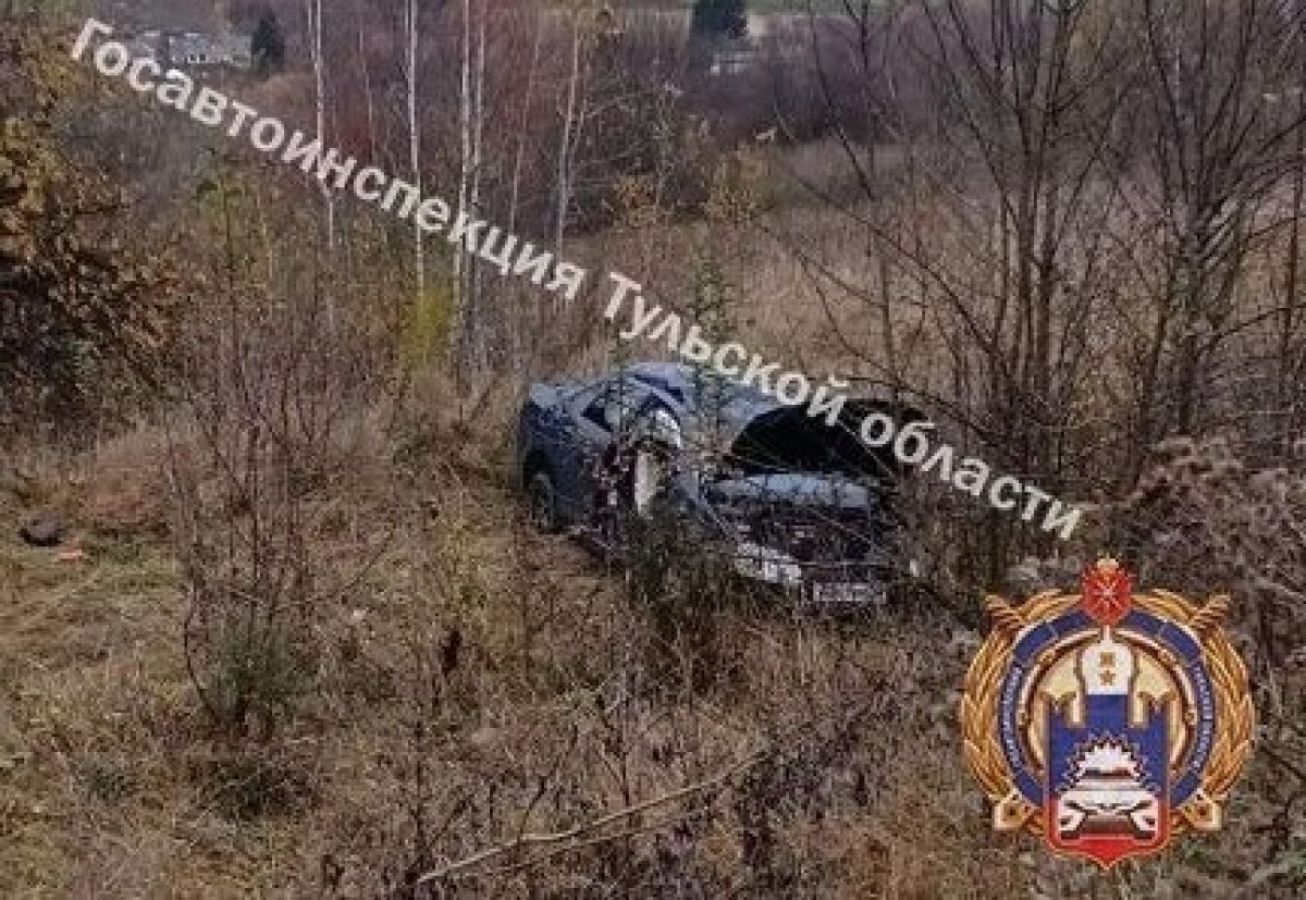 В Дубенском муниципальном округе нетрезвая девушка на «Фольксвагене» съехала в кювет