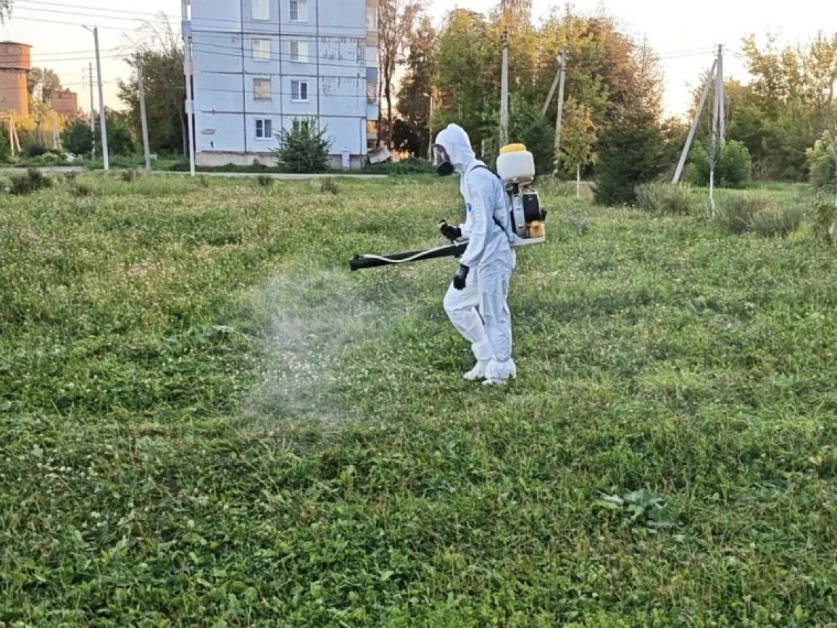 В Туле завершили второй этап акарицидной обработки общественных пространств