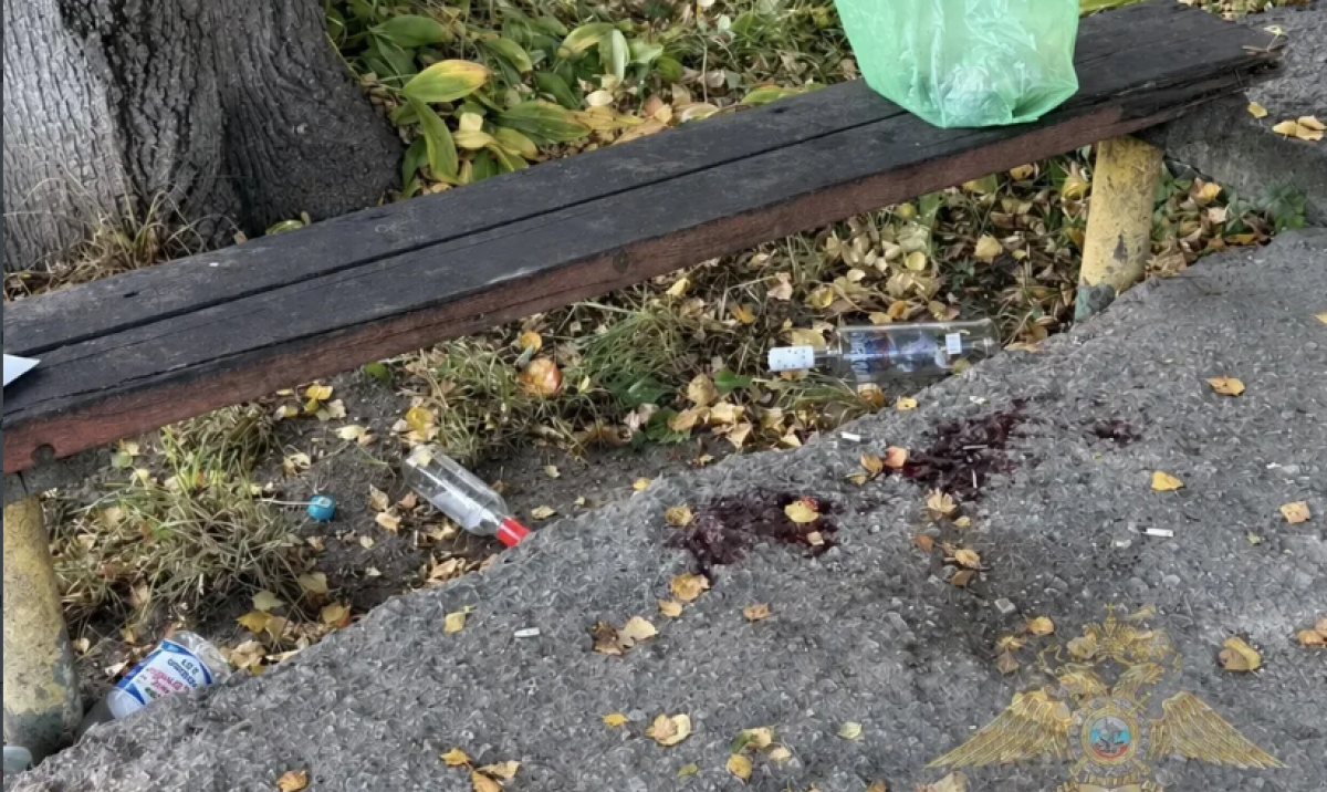 В Алексине местный житель убил нетрезвого знакомого В Алексине местный житель убил нетрезвого знакомого