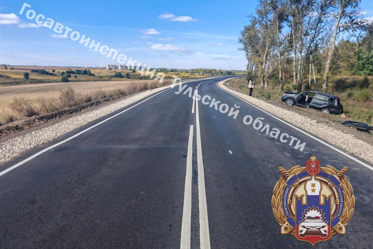 В Тульской области автоледи угодила в кювет и больницу В Тульской области автоледи угодила в кювет и больницу