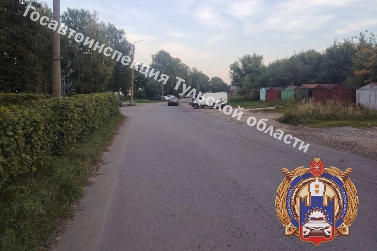 В столкновении двух «Рено» в Узловой пострадали два человека