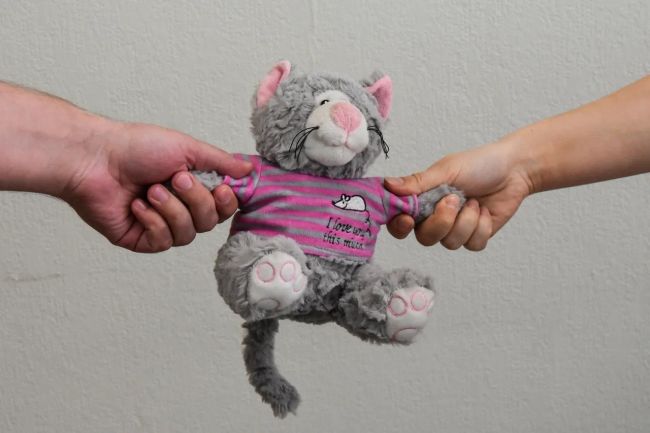 Уполномоченный по правам ребенка Тульской области рассказала о семейной медиации в спорах о детях Уполномоченный по правам ребенка Тульской области рассказала о семейной медиации в спорах о детях