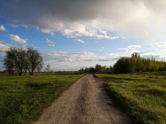 Уголовные дела о хищении земельных участков на сумму свыше 3 млн рублей возбудили в Тульской области Уголовные дела о хищении земельных участков на сумму свыше 3 млн рублей возбудили в Тульской области