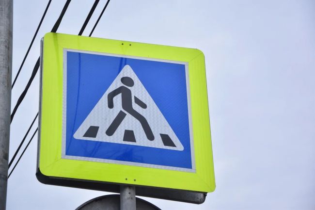 В Туле появится новая «зебра» на проспекте Ленина В Туле появится новая «зебра» на проспекте Ленина