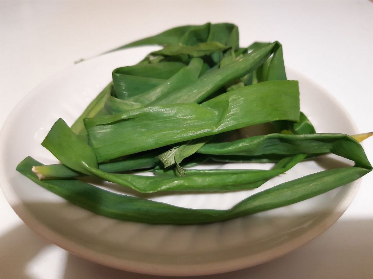 Санитарные врачи Тульской области рассказали, чем полезна зелень