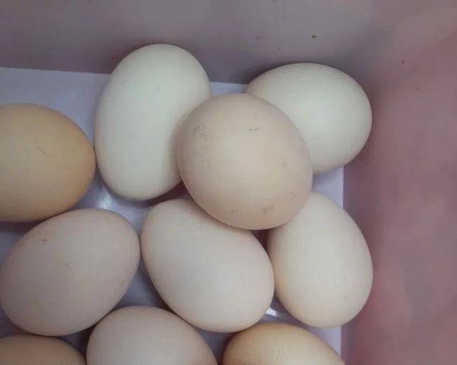 Стало известно, сколько яиц произвели в Тульской области за прошлый год Стало известно, сколько яиц произвели в Тульской области за прошлый год