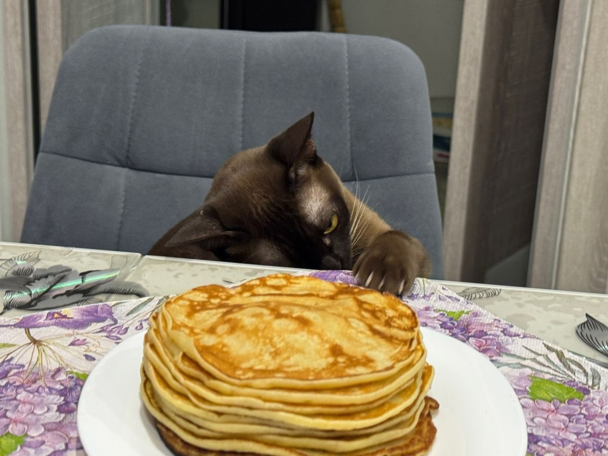 Главный диетолог Тульской области рассказала, сколько можно съесть блинов на Масленицу