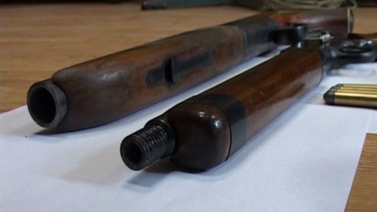 Росгвардейцы изъяли у туляков 26 единиц оружия Росгвардейцы изъяли у туляков 26 единиц оружия