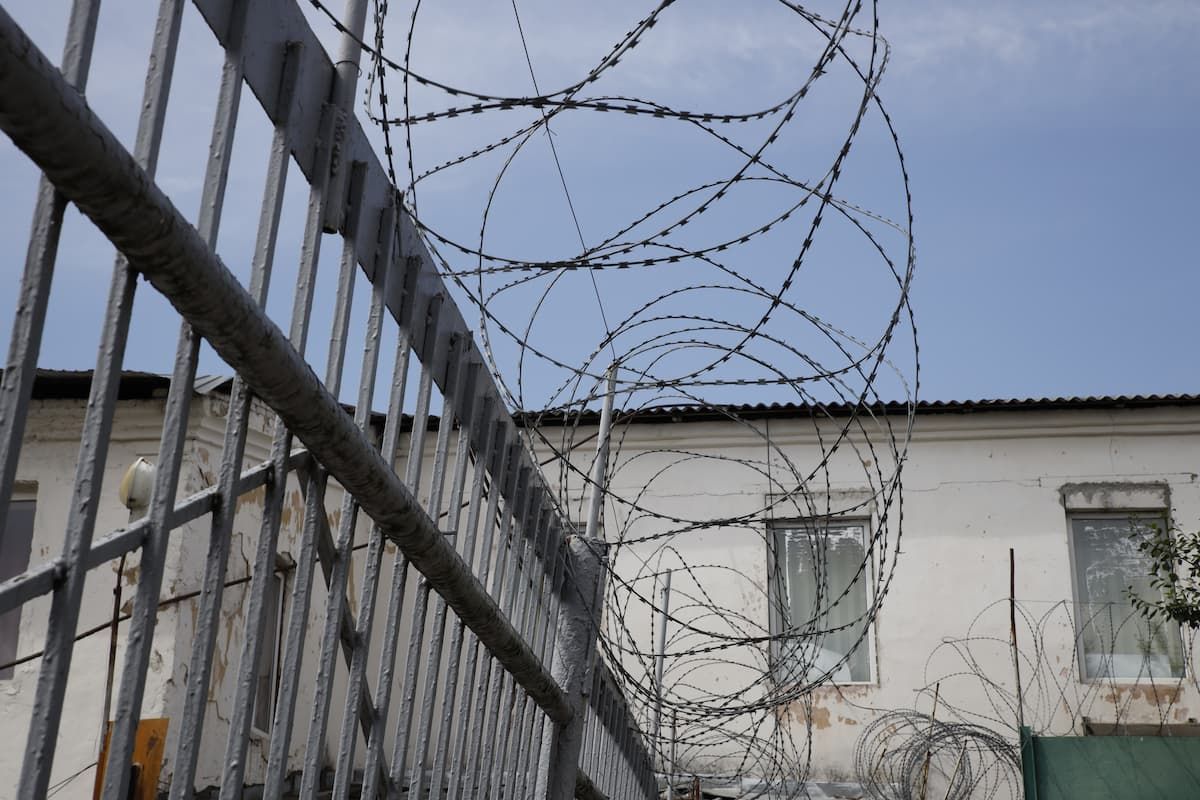 Двое туляков получили тюремные сроки за выращивание запрещенного вещества