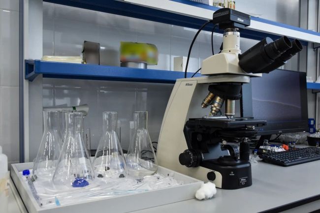 Дмитрий Миляев повысил премии за достижения в сфере науки Дмитрий Миляев повысил премии за достижения в сфере науки