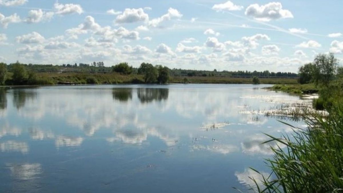 15 беспилотников сбили за ночь над Тульской областью 15 беспилотников сбили за ночь над Тульской областью