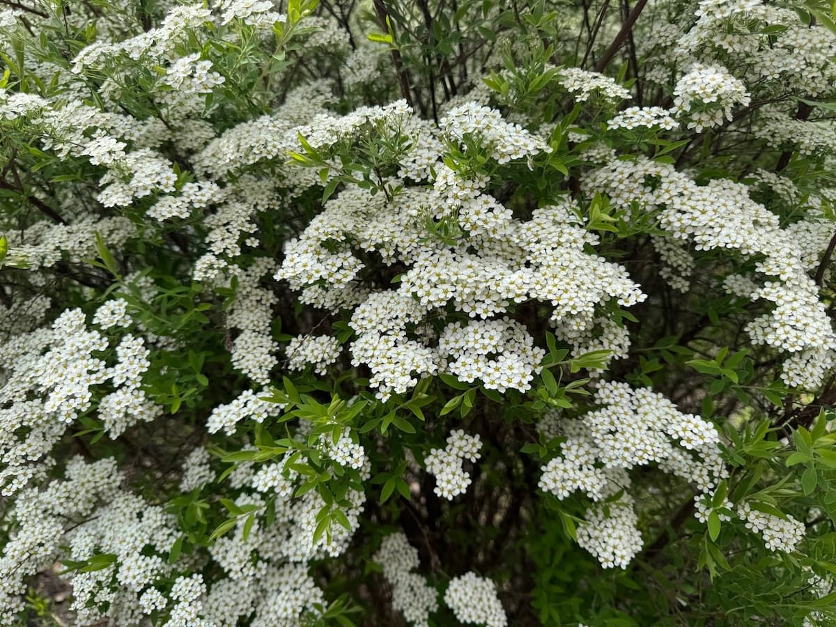 Суббота подарит тулякам летнее тепло