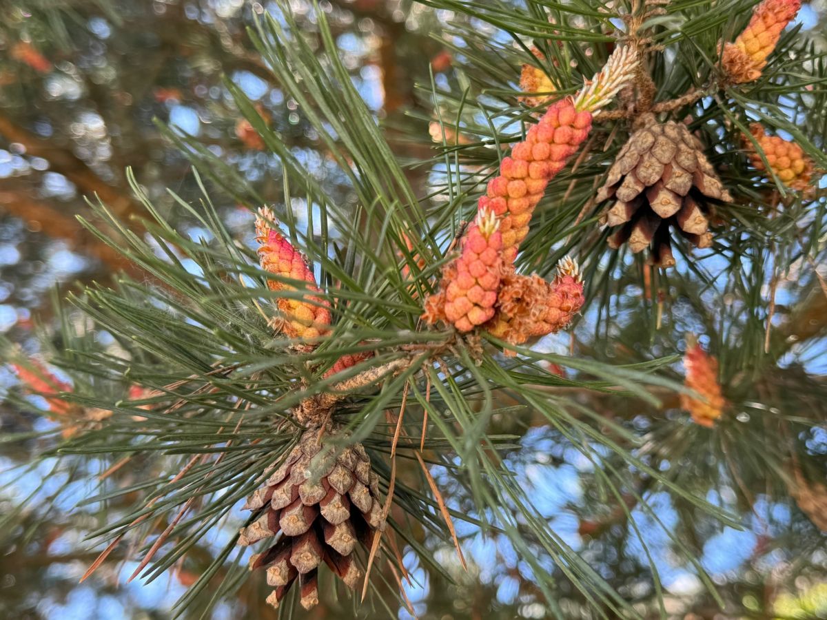 В Тульской области сегодня будет душно