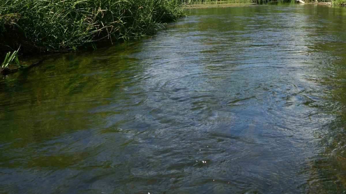 В Тульской области в реке Дон утонул мужчина В Тульской области в реке Дон утонул мужчина