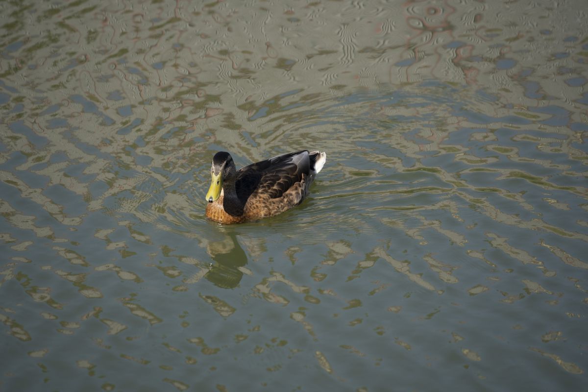 Туляков ожидает теплая ночь с нотками дождя Туляков ожидает теплая ночь с нотками дождя