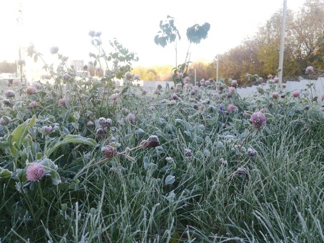 Ночью в Тульской области пахнёт свежестью