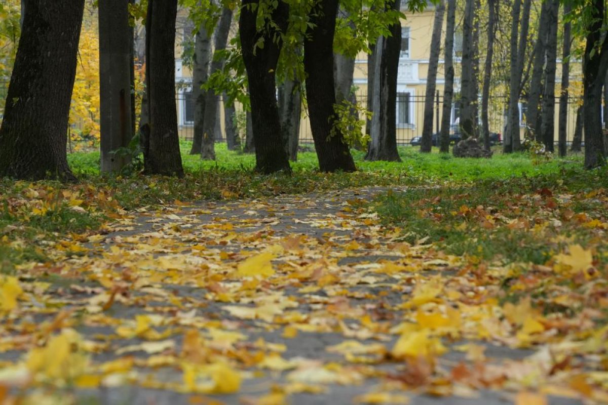 Туляки могут оставить зонтики дома