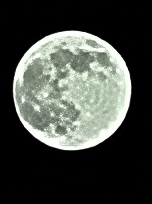 Туляки стали свидетелями Оленьего суперлуния Туляки стали свидетелями Оленьего суперлуния