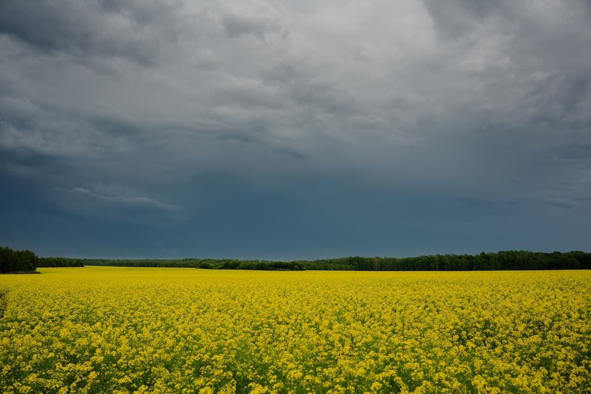 Ливни, град и порывистый ветер обещают тулякам в ближайшие часы