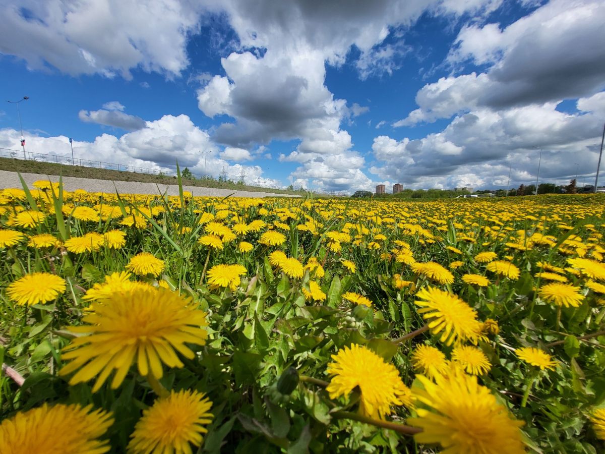 В воскресенье в Тульской области будет жарко