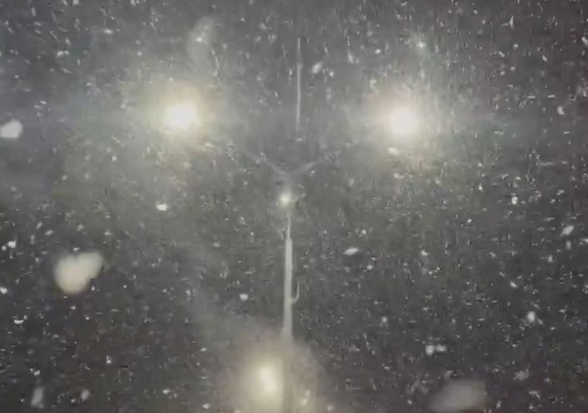 Немного дождя со снегом, немного тумана: какой будет погода в Тульской области ночью Немного дождя со снегом, немного тумана: какой будет погода в Тульской области ночью