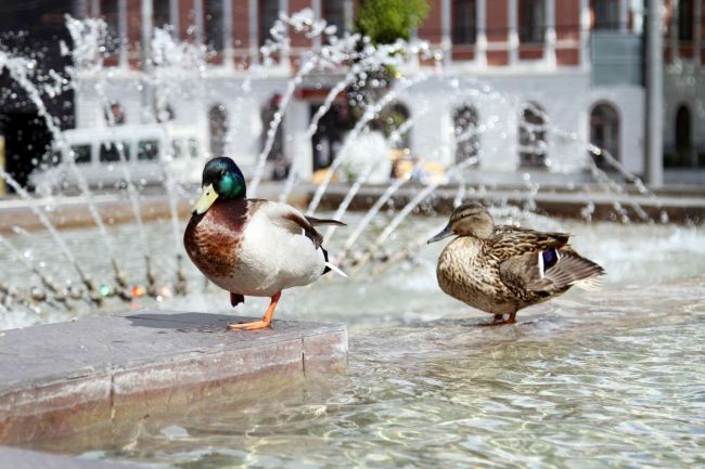 Среда подарит тулякам тепло и солнце Среда подарит тулякам тепло и солнце