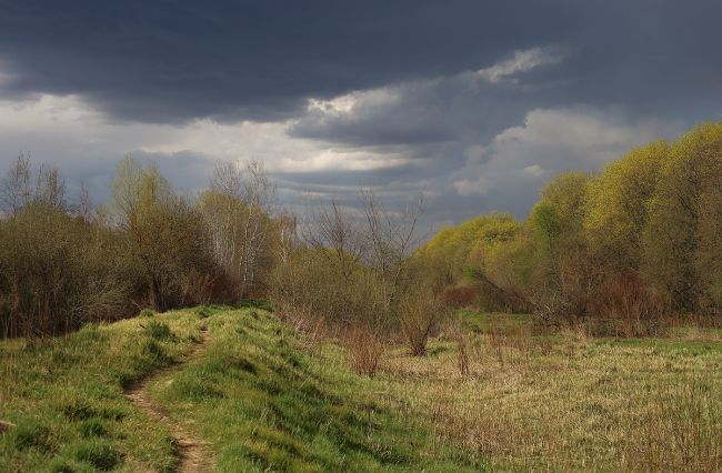Россельхознадзор наказал жительницу Тульской области за кусты на земельном участке Россельхознадзор наказал жительницу Тульской области за кусты на земельном участке