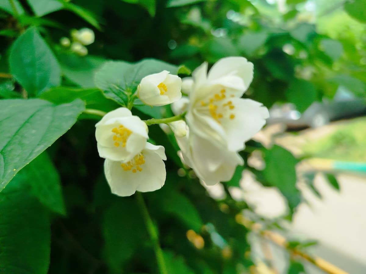 Туляков ждет теплая ночь