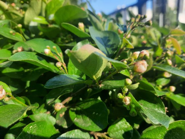 Дождь в Тульской области закончится ночью